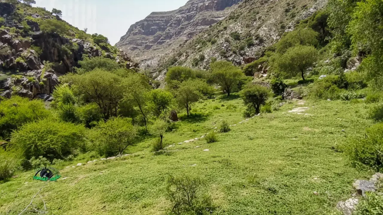 اكتشاف كنوز استراتيجية في وادي القهرة تعادل نصف احتياطي اليمن… والصراع يقيد استغلالها